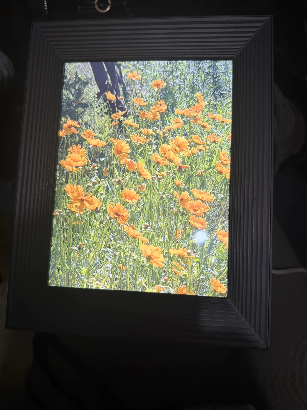 Aura Digital Photo Frame - photo 2