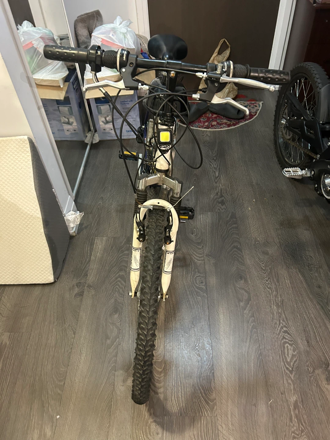 Motorized Bicycle - photo 3