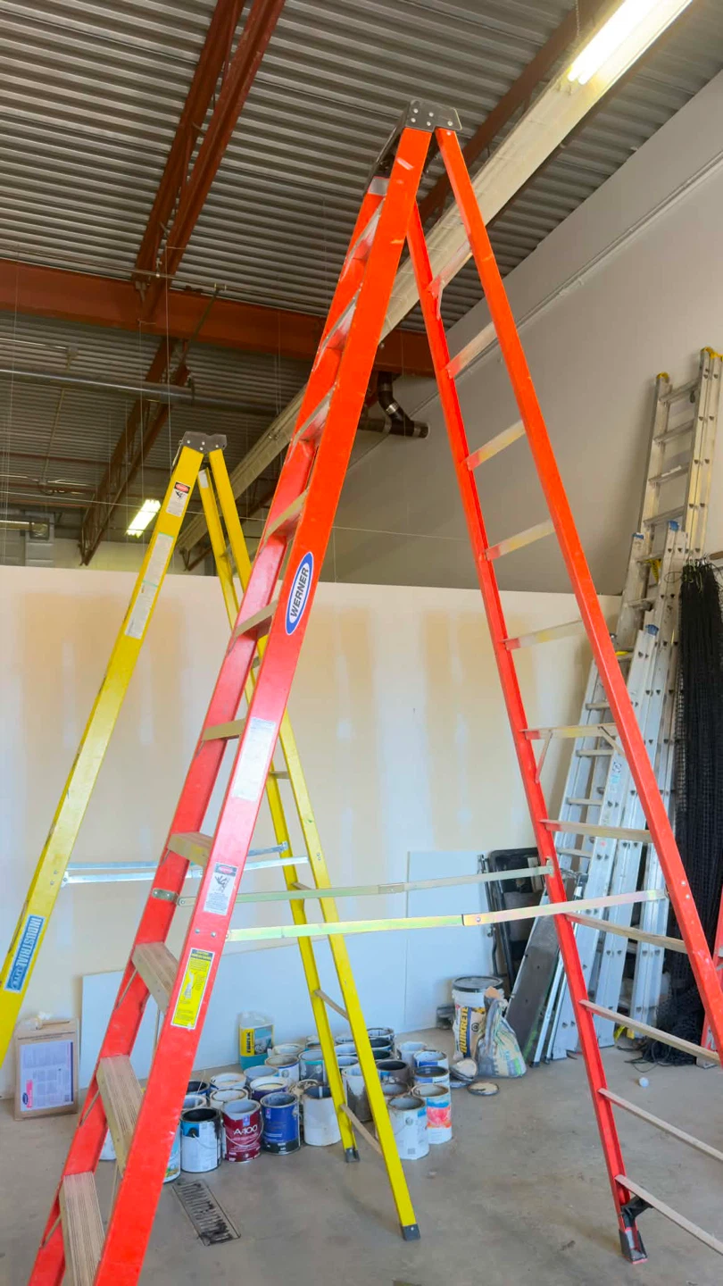 Werner 12' Ladder