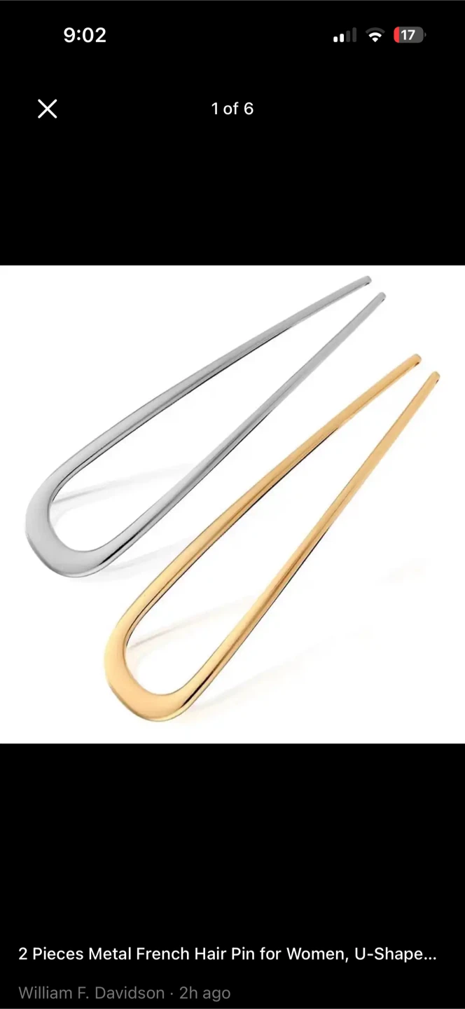 2 Pieces Metal French Hair Pin for Women