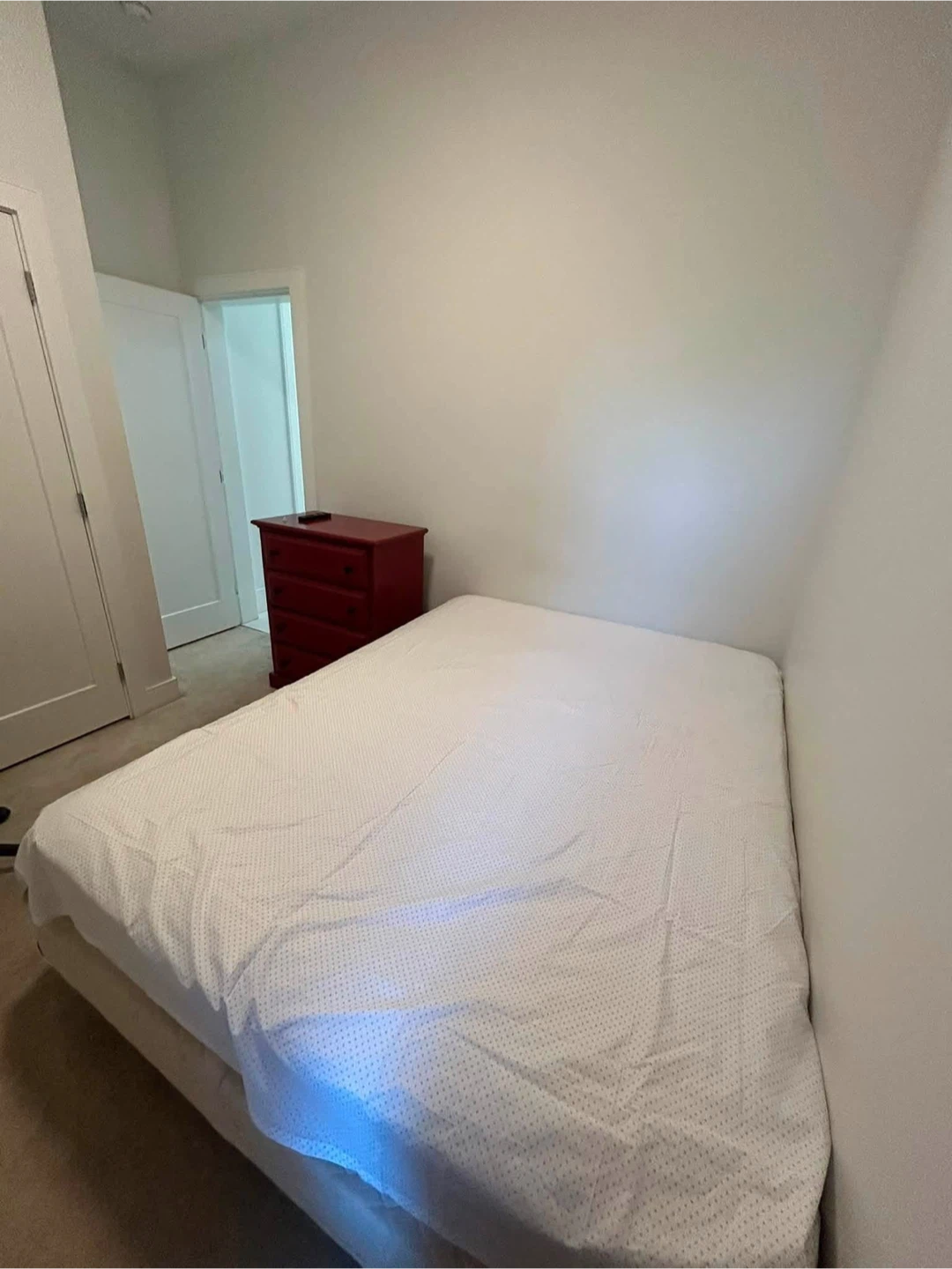 1 Bed 1 Bath Suite - Burnaby House available on July 8 - photo 3