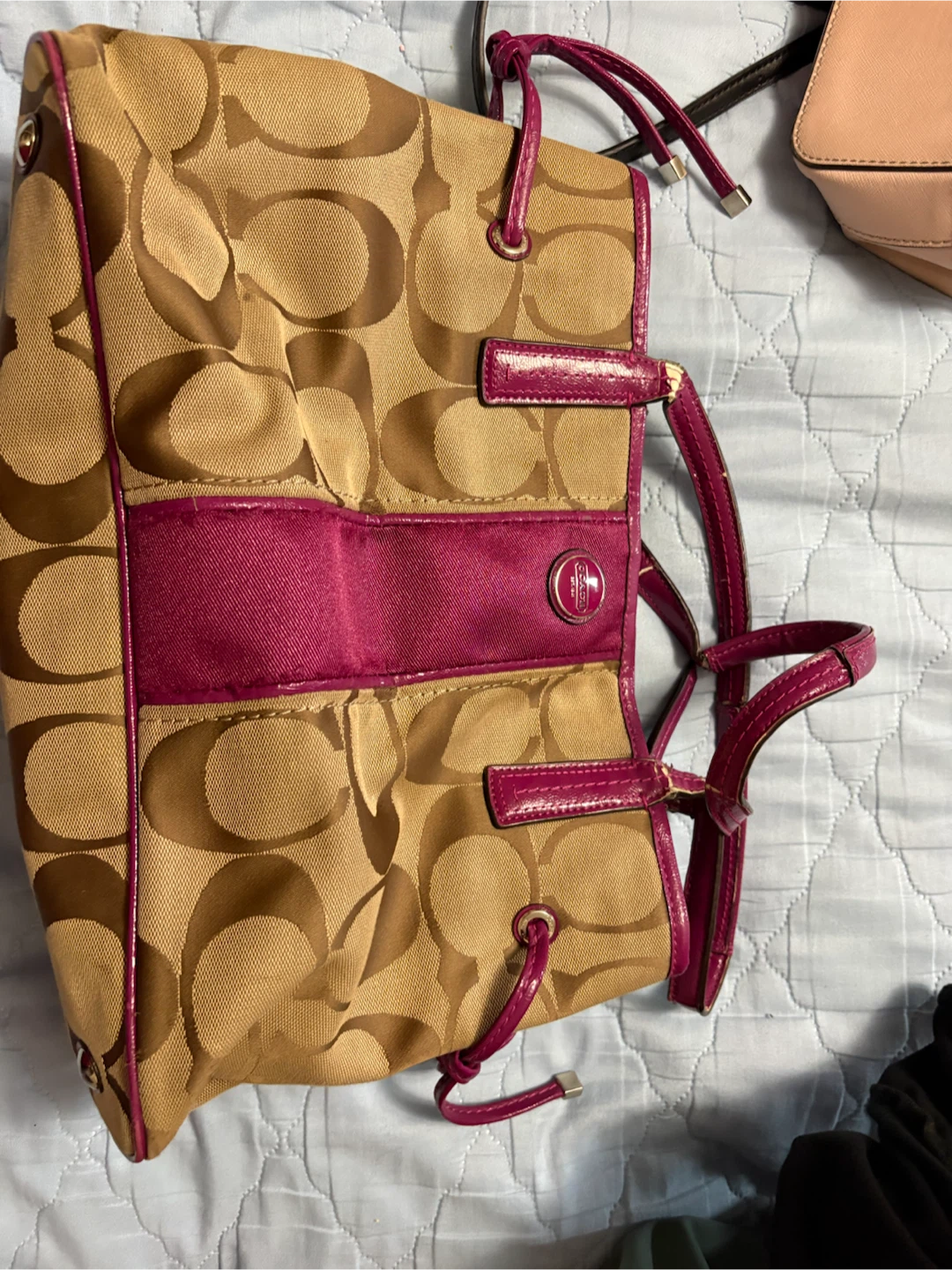 Coach Signature Canvas Tote Bag