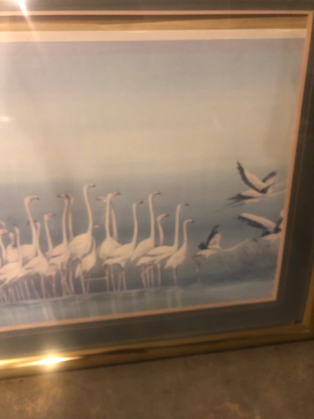 Framed Art Print - Flamingos - photo 2