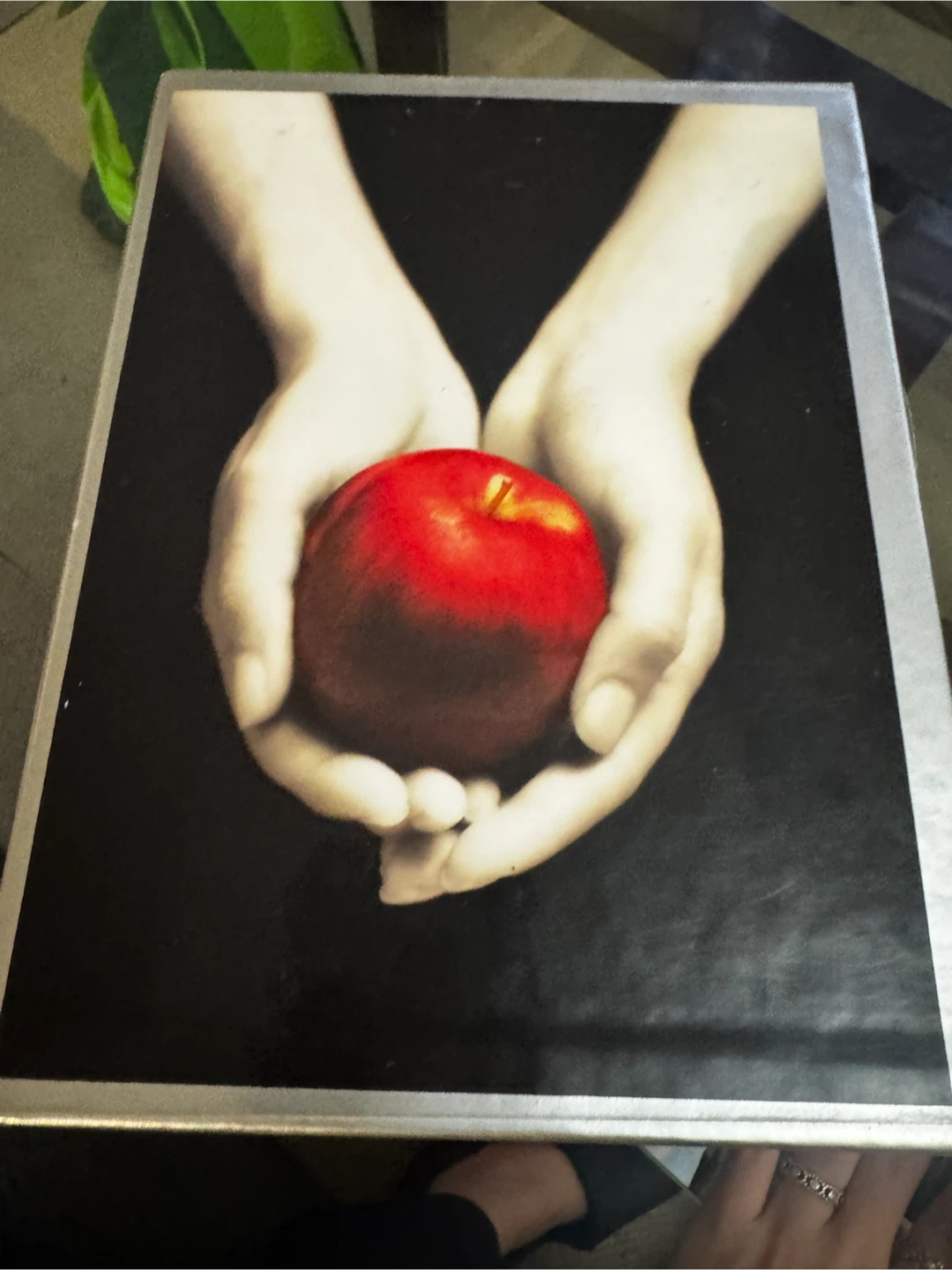 Twilight Saga Book Series Box Set - photo 3