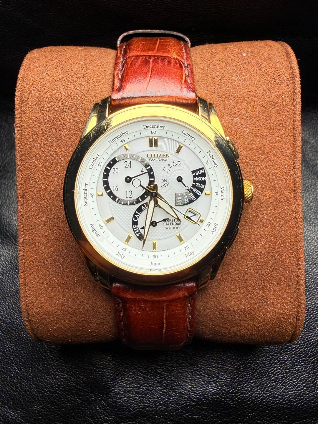 Citizen Eco-Drive Perpetual Calendar Watch