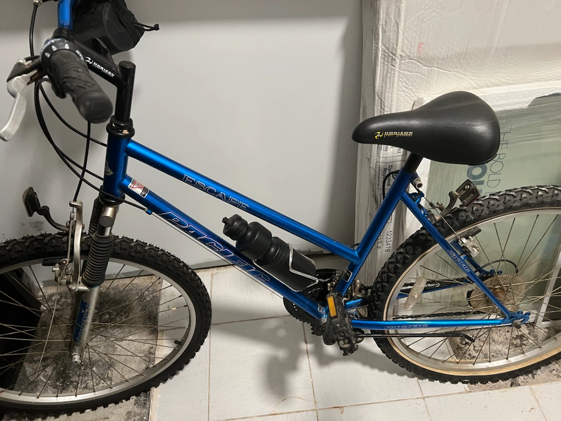 Pacific Escape Blue Mountain Bike