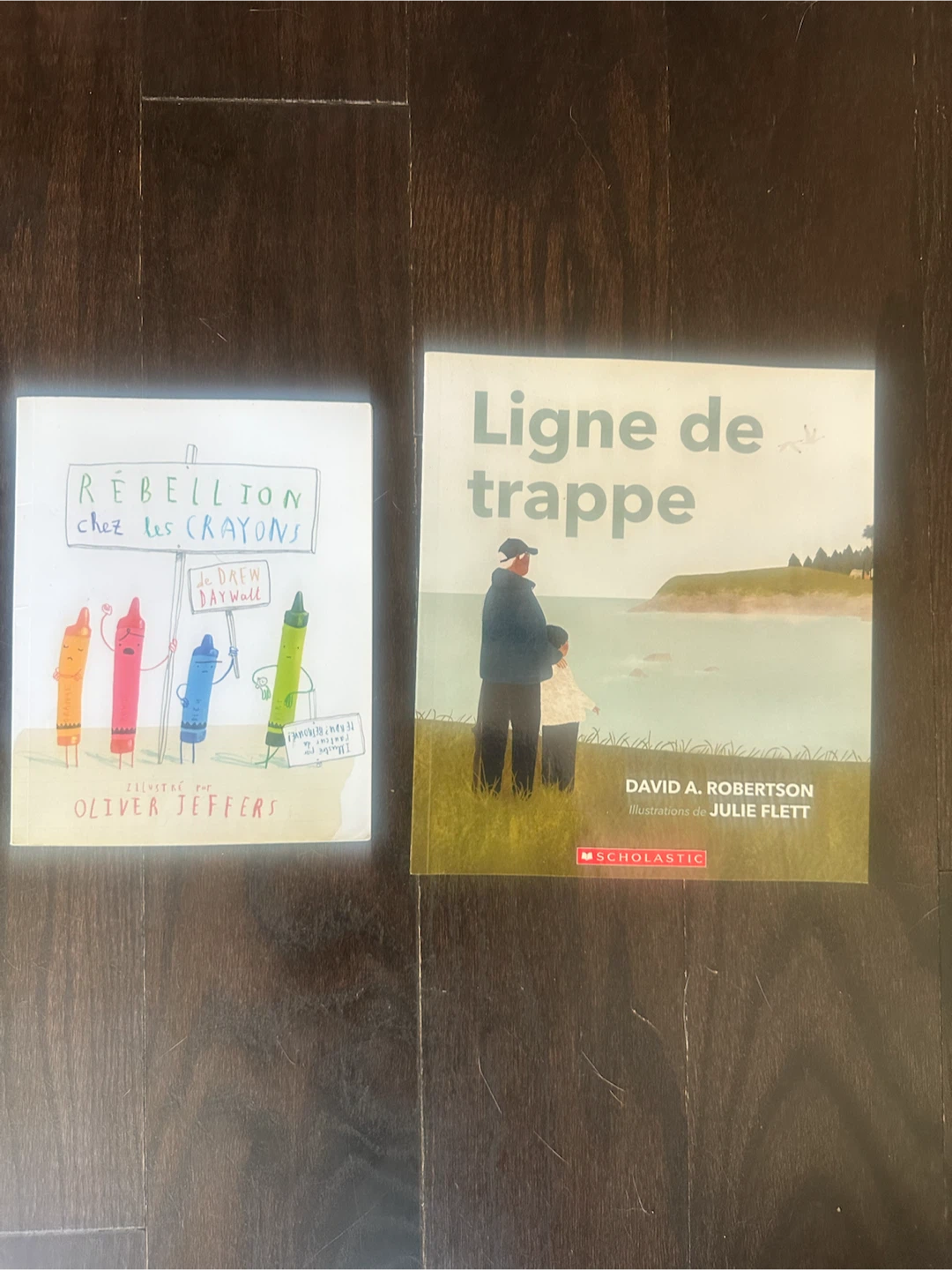 Lot of 2 popular French picture books
