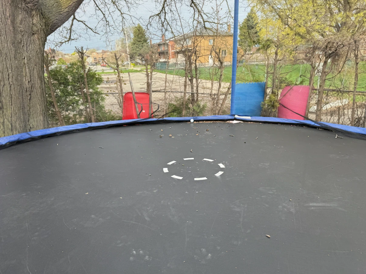 Trampoline 12ft - photo 2