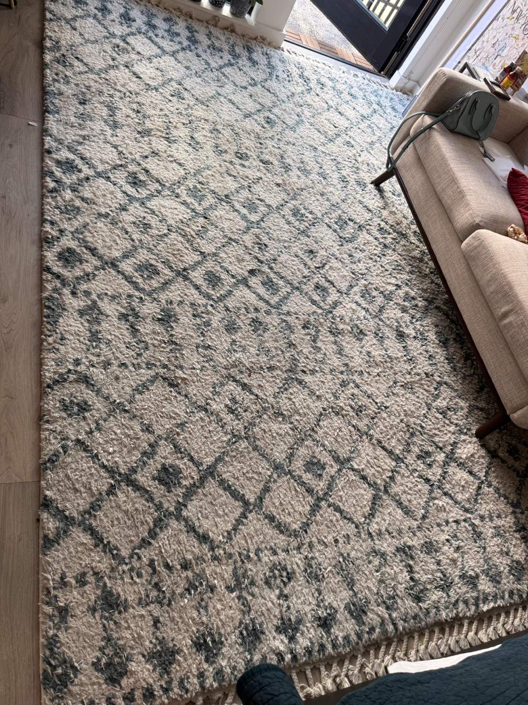 Area Rug- 8’ x 10’ - photo 2