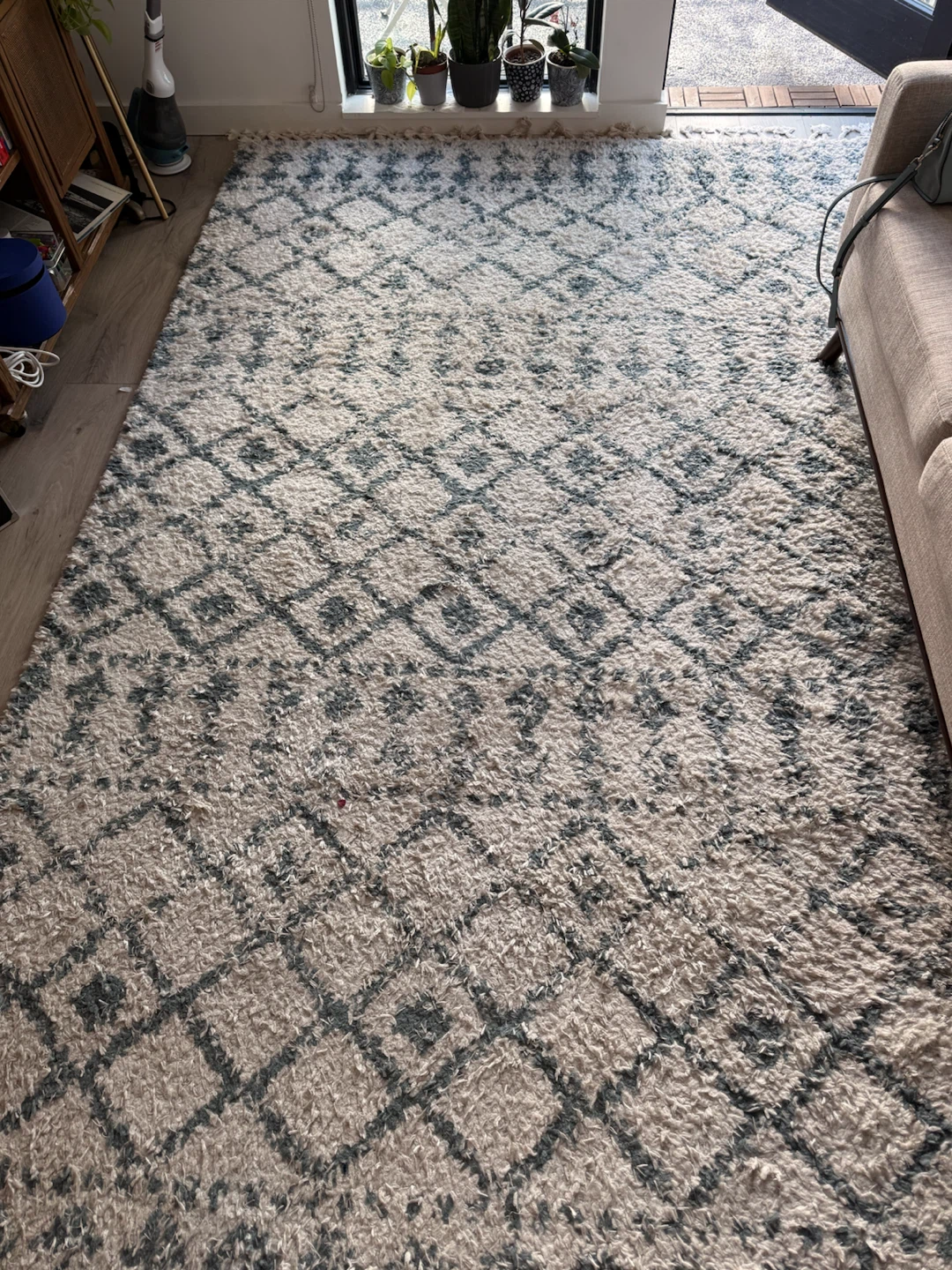 Area Rug- 8’ x 10’ - photo 3