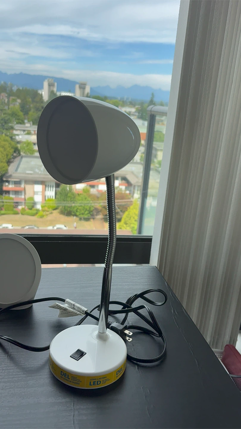 DEL LED Desk Lamp
