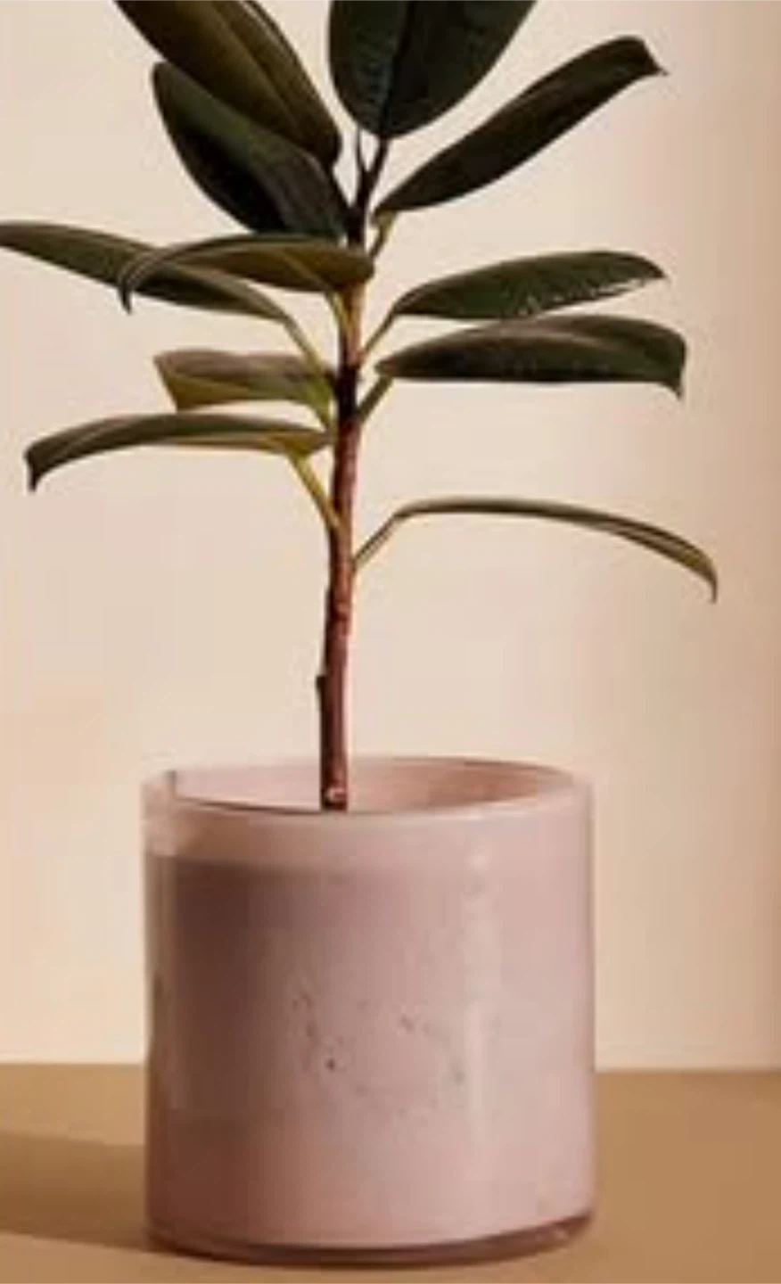 10 Simons Maison Speckled Tinted Glass Planter 4.5 in - photo 5