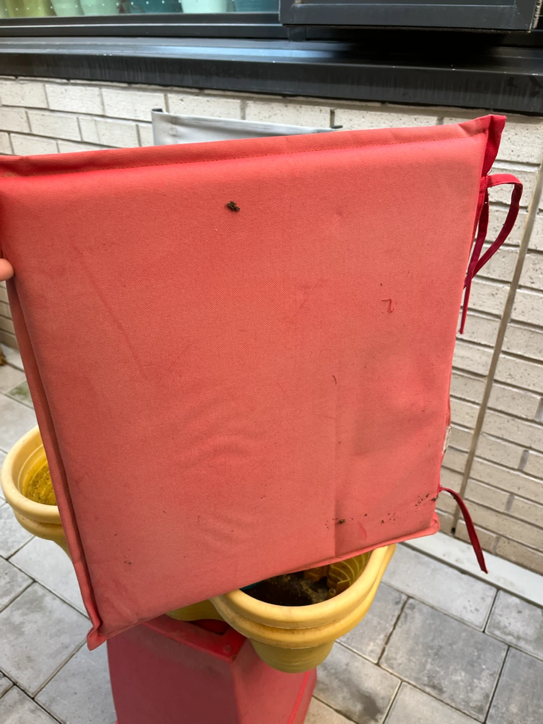 Red Outdoor Seat Cushion