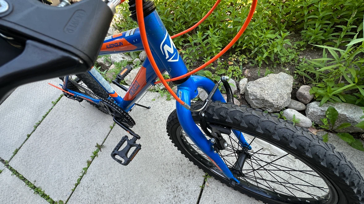 Movelo Algonquin Kids Bike - photo 5