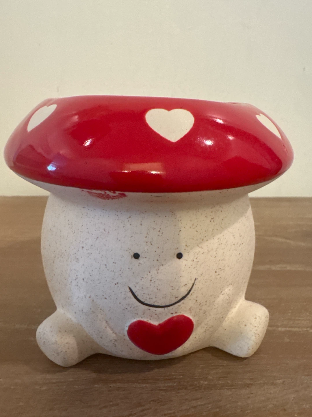 2 X Mushroom Ceramic Planter Pot
