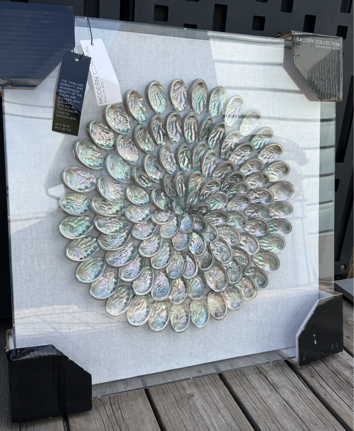 NEW Coastal Seashell Shadow Box Wall Art 24”x24” Home Decor