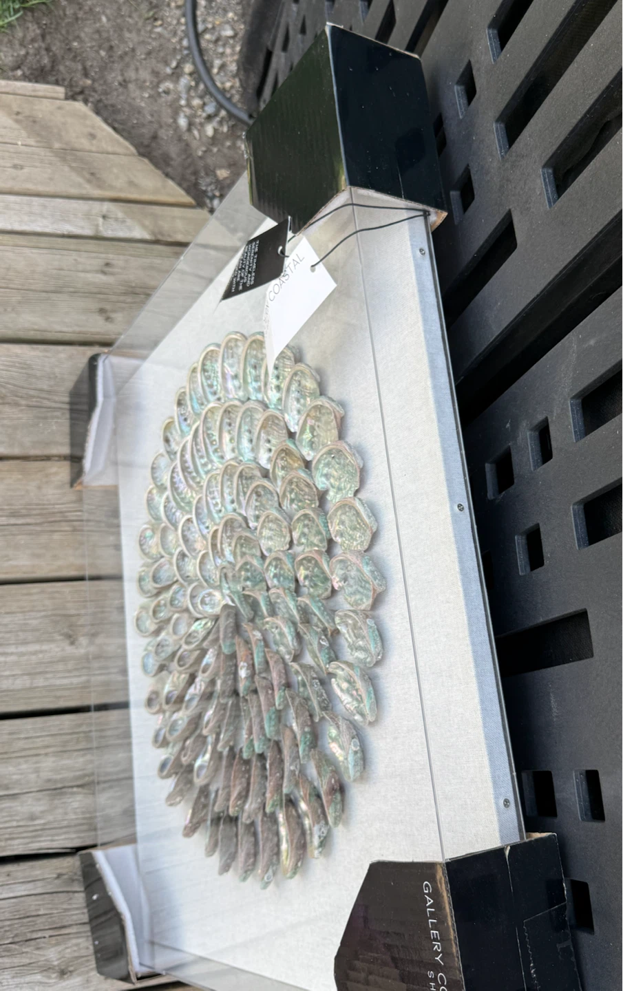 NEW Coastal Seashell Shadow Box Wall Art 24”x24” Home Decor - photo 3