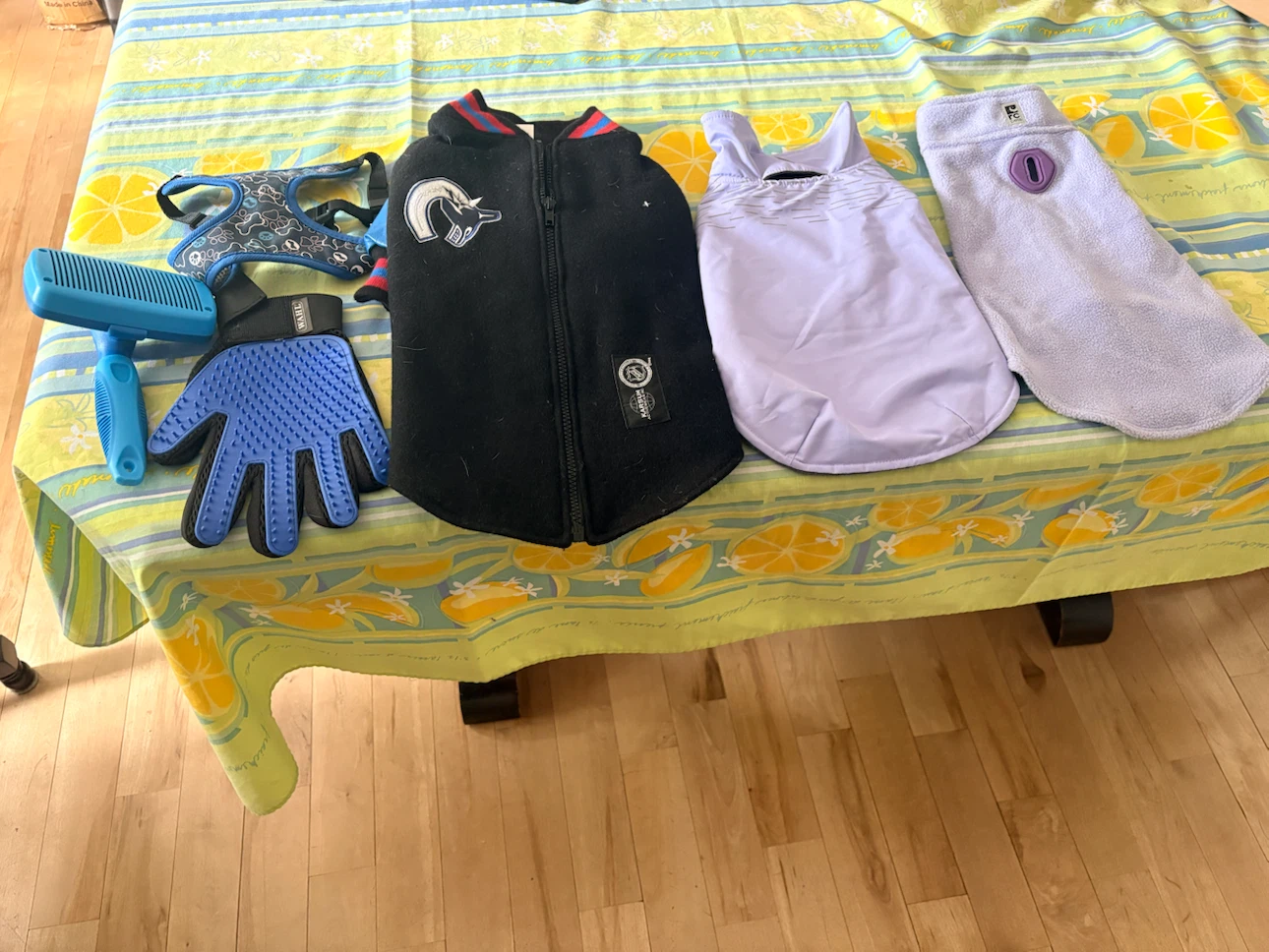 Pet Grooming & Apparel Bundle