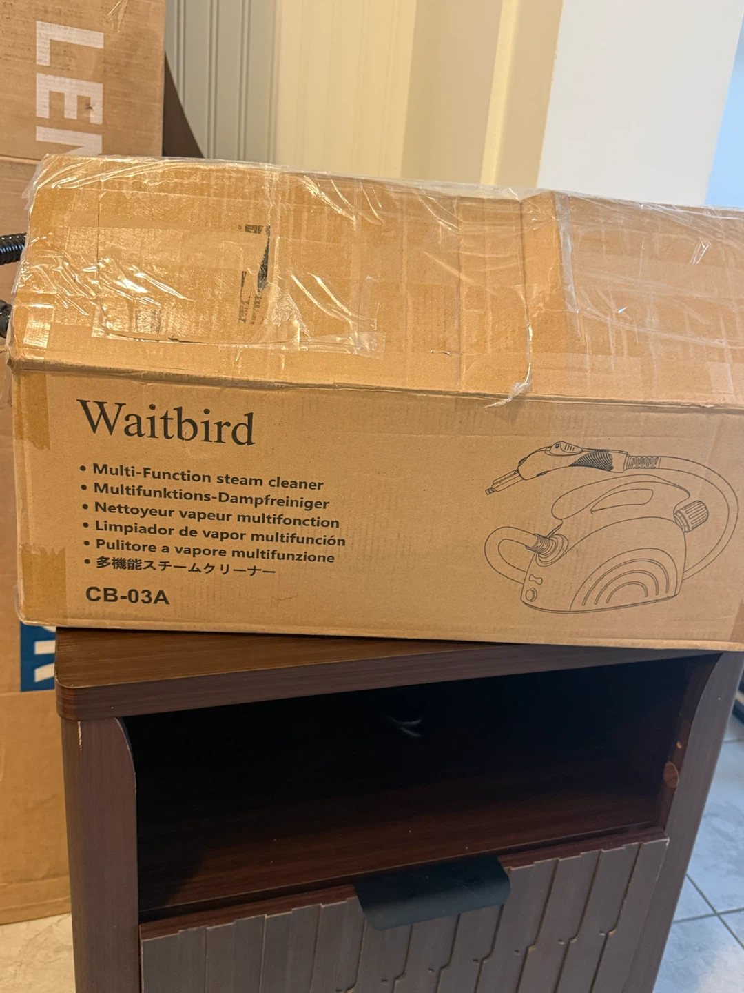 Waitbird Multi-Function Steam Cleaner - photo 5