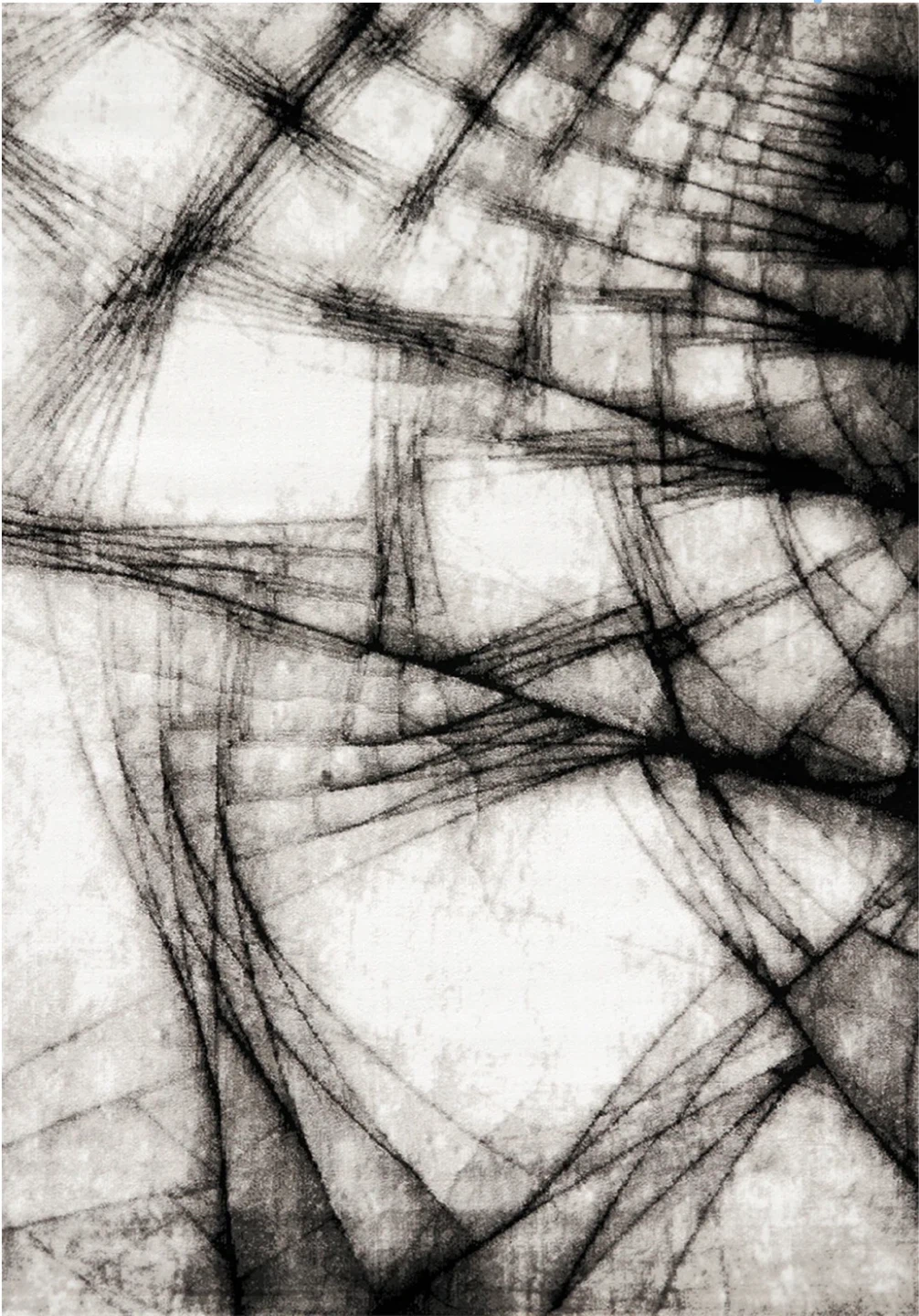 Abstract Line Rug - photo 2