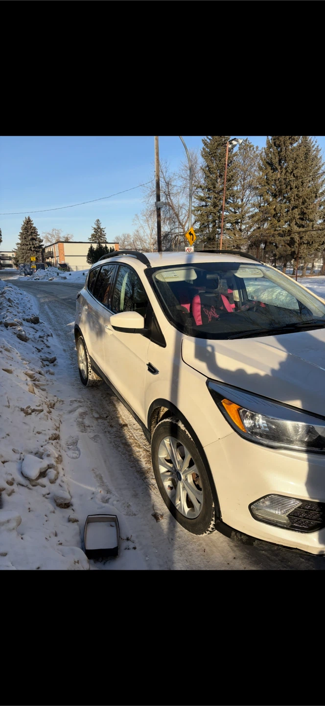 White Ford Escape - photo 4