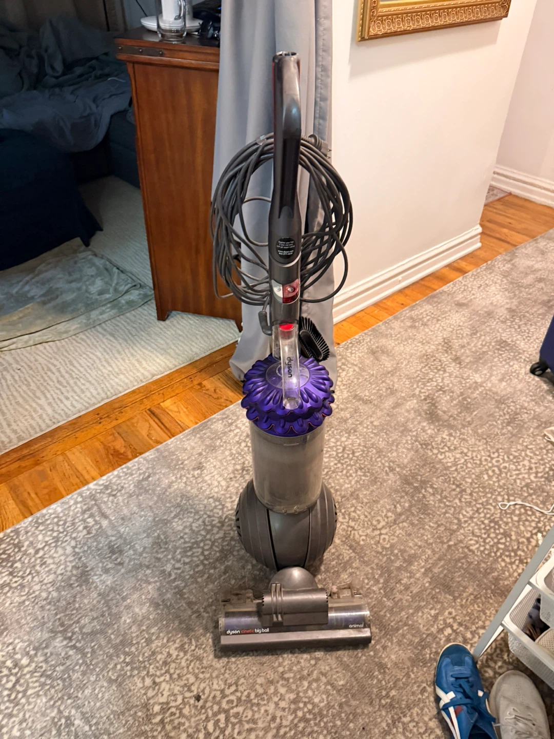 Dyson Cinetic Big Ball Animal Vacuum