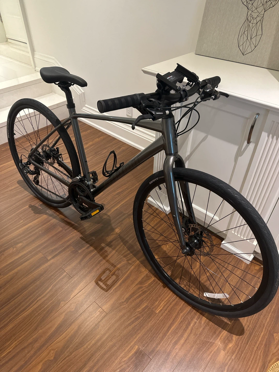 Giant Escape 3 Disc Hybrid Bike