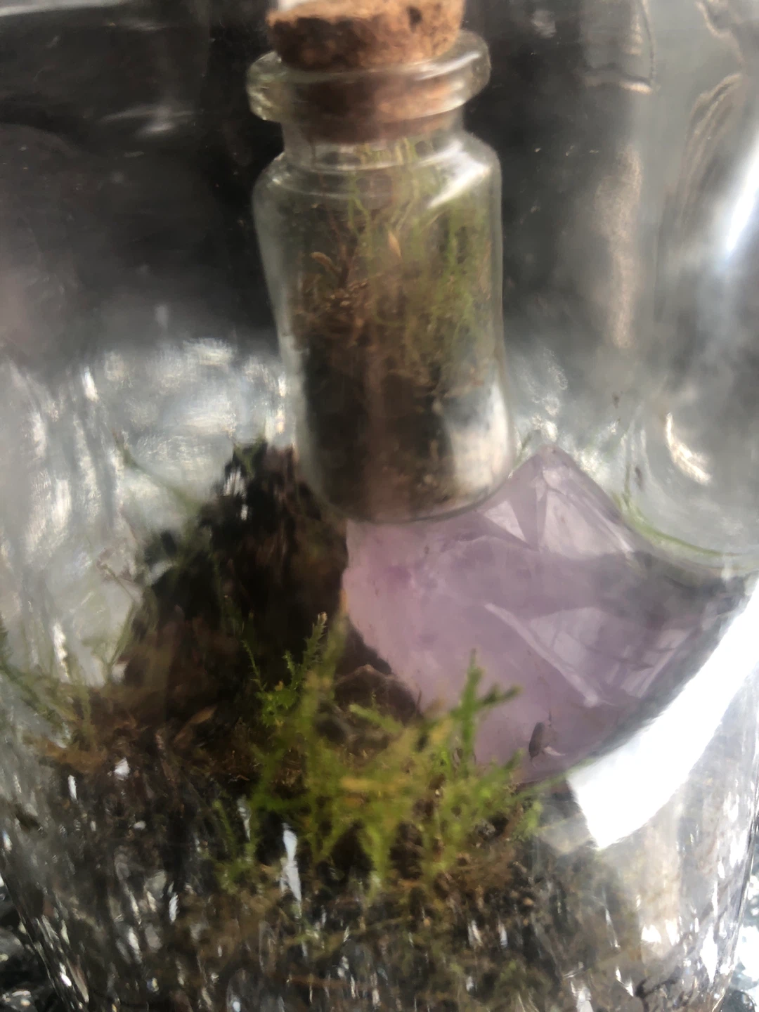 Terrarium Inception! Jar in a Jar with Amethyst & Moss - photo 3