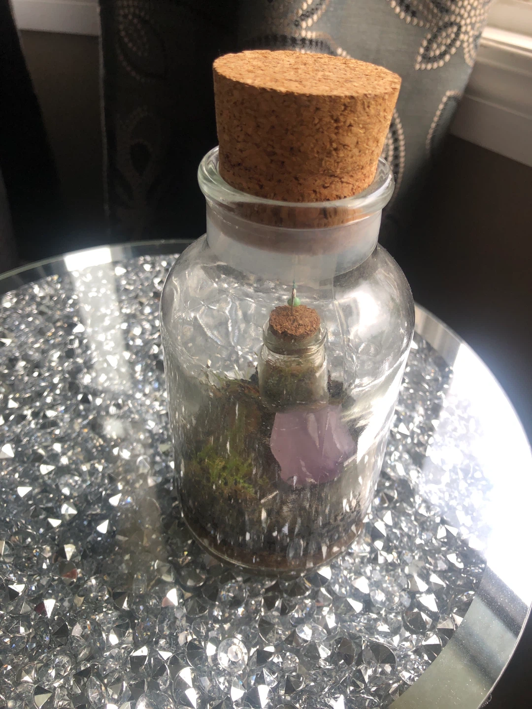 Terrarium Inception! Jar in a Jar with Amethyst & Moss - photo 4