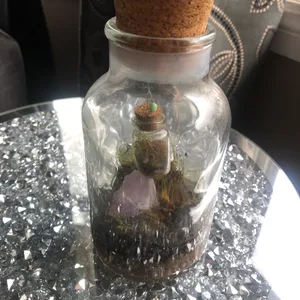 Terrarium Inception! Jar in a Jar with Amethyst & Moss