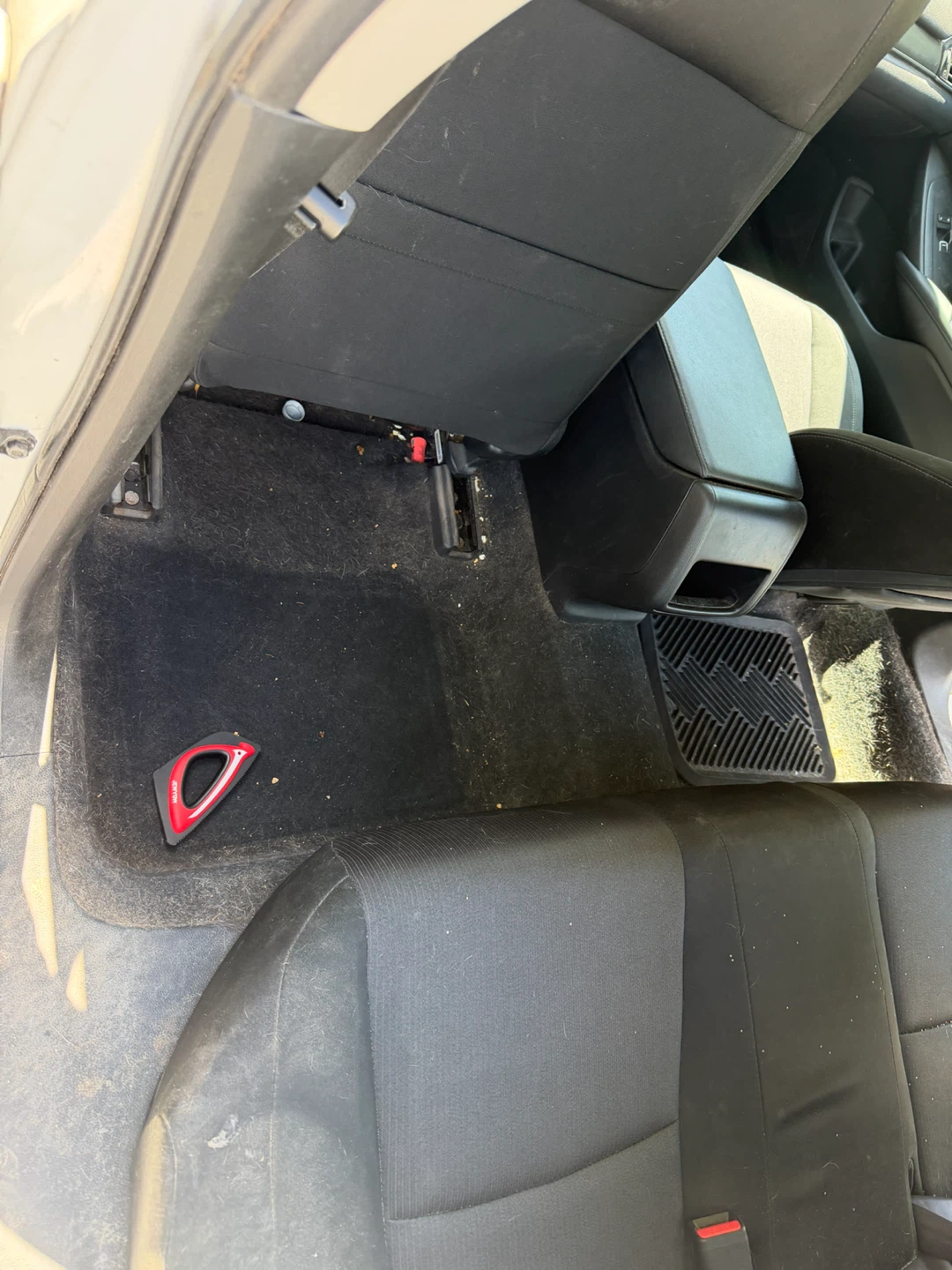 car detailing - photo 5