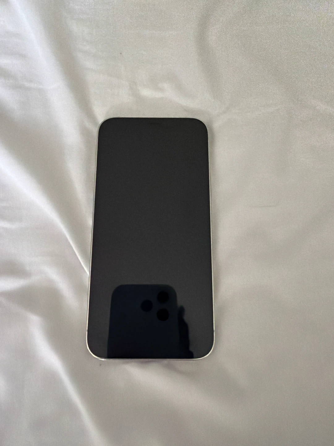 Apple iPhone 12 Pro - Silver - photo 2