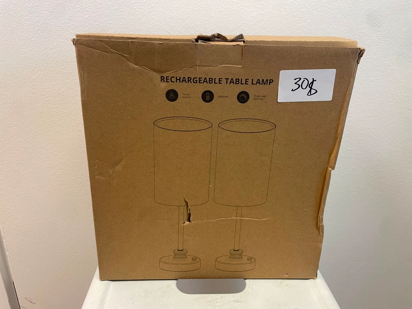 Set of 2 Rechargeable Table Lamps