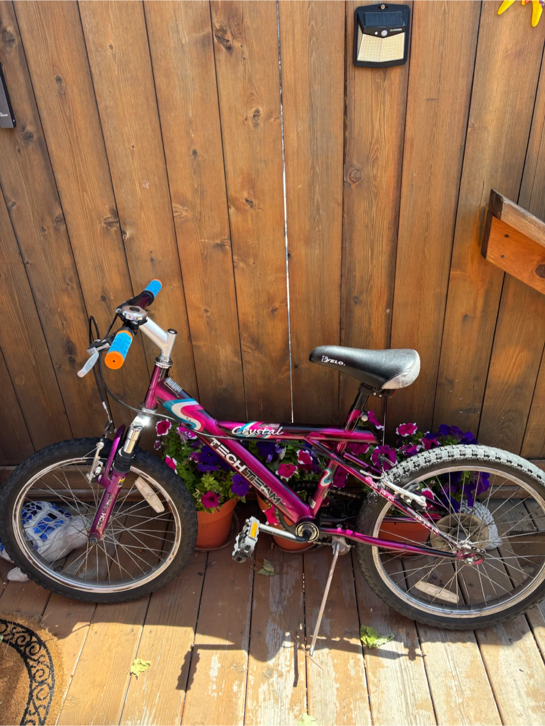 TECH TEAM Crystal Kids Bike