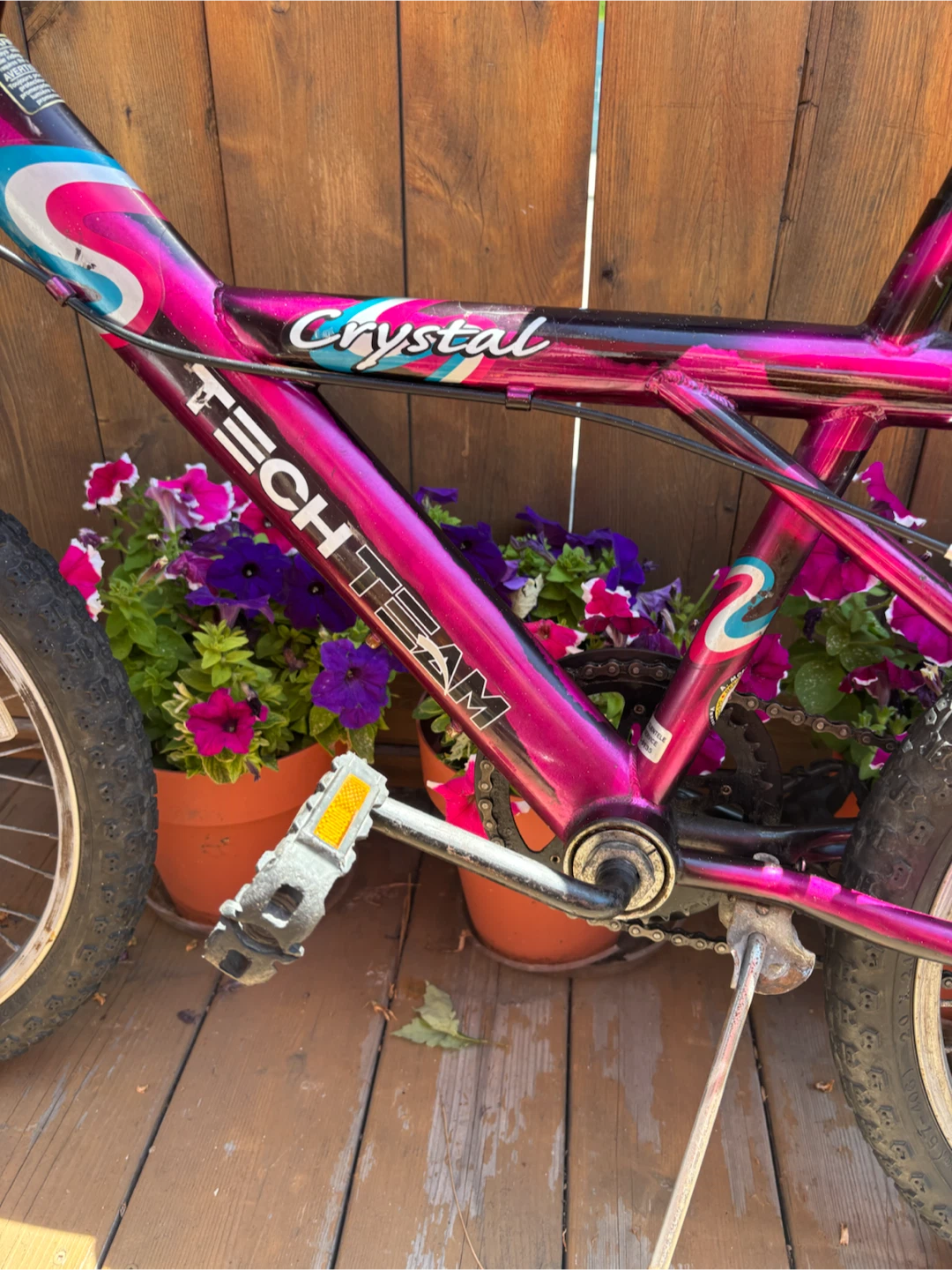 TECH TEAM Crystal Kids Bike - photo 3