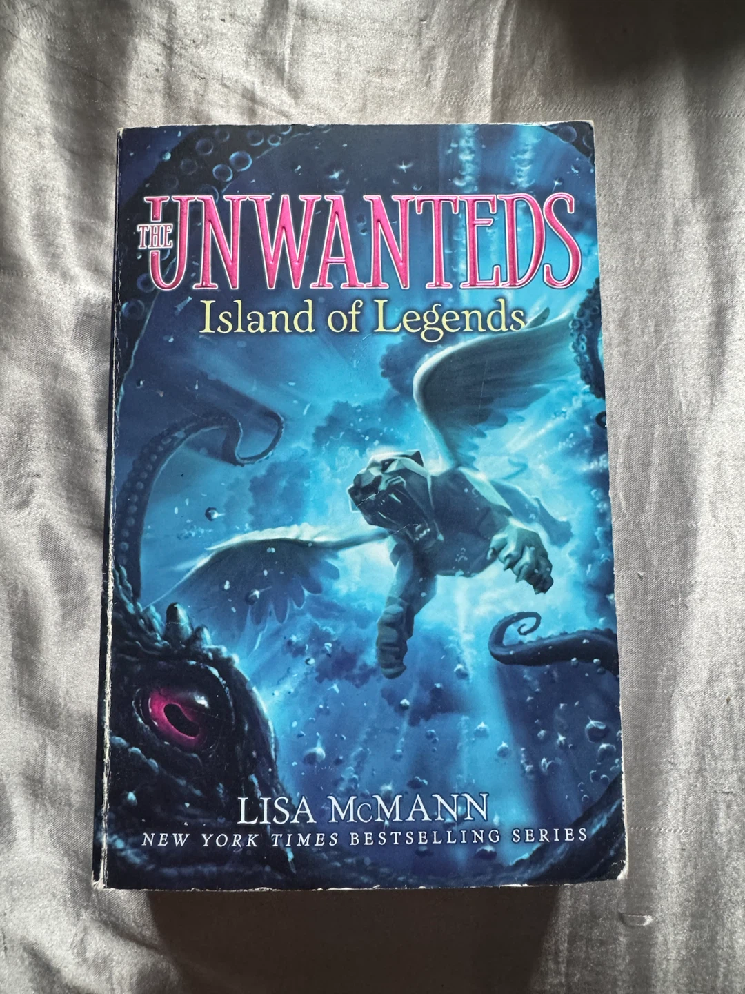 The Unwanteds Complete Series Box Set by Lisa McMann - photo 4