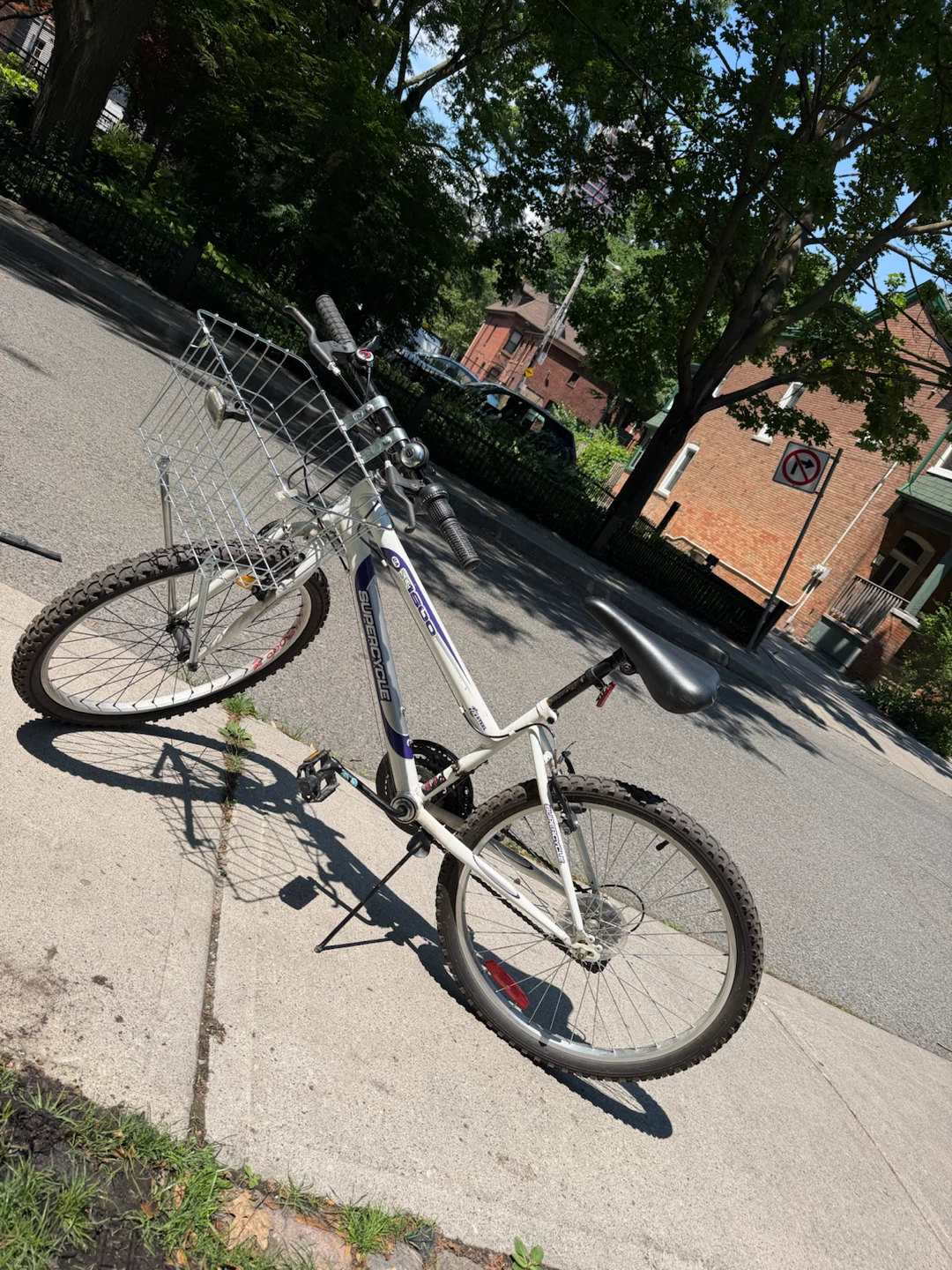 Supercycle Mountain Bike with Basket