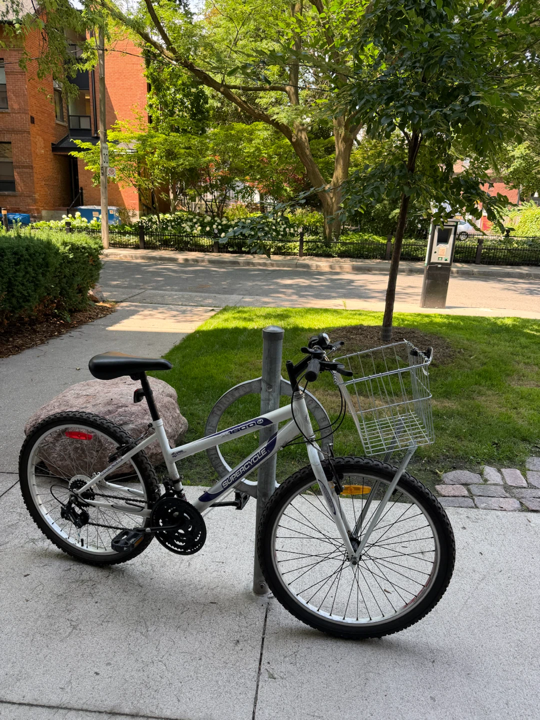 Supercycle Mountain Bike with Basket - photo 3