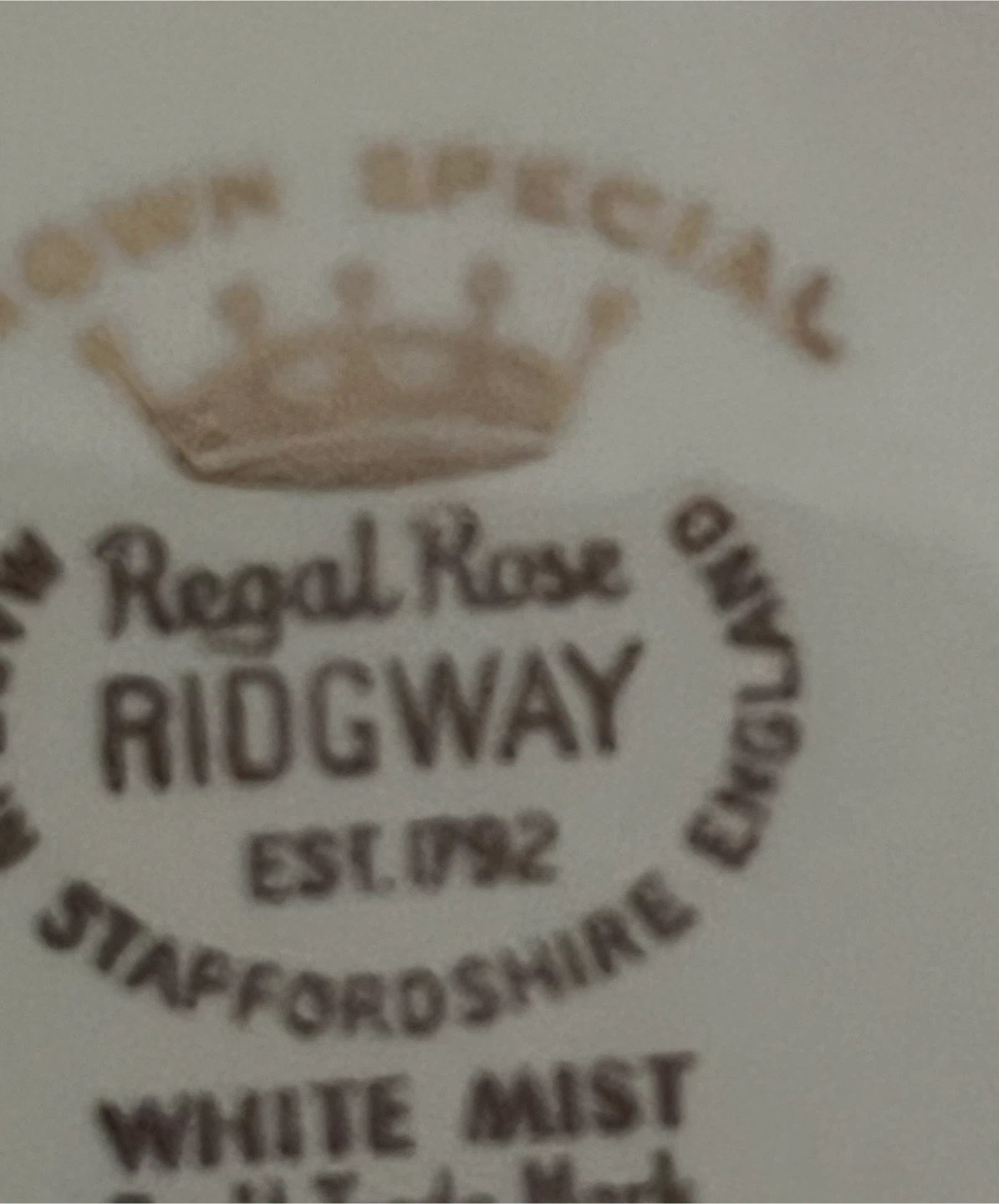 Ridgway White Mist Regal Rose Dinnerware Set - photo 3