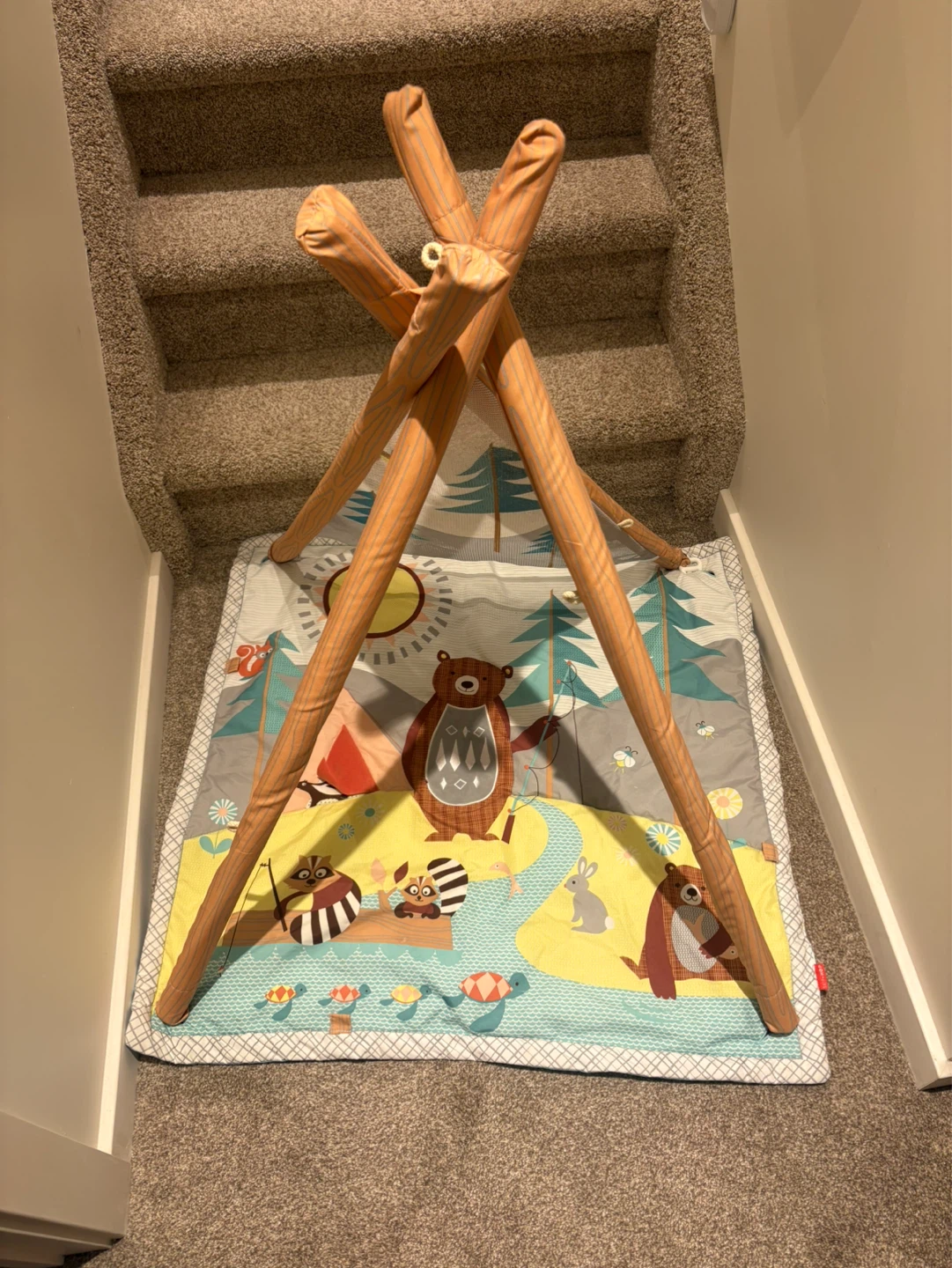 Baby Play Mat