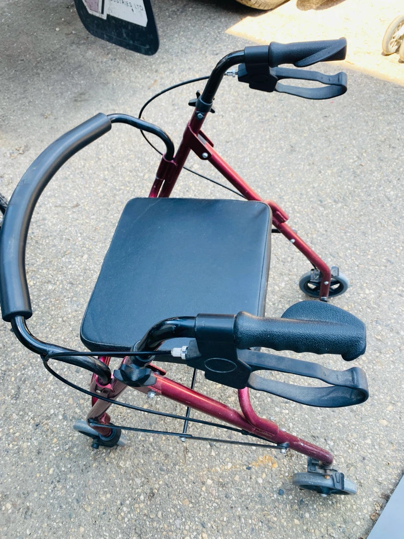 Adult Walker