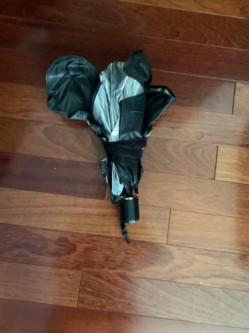 New Sunbrella - photo 2