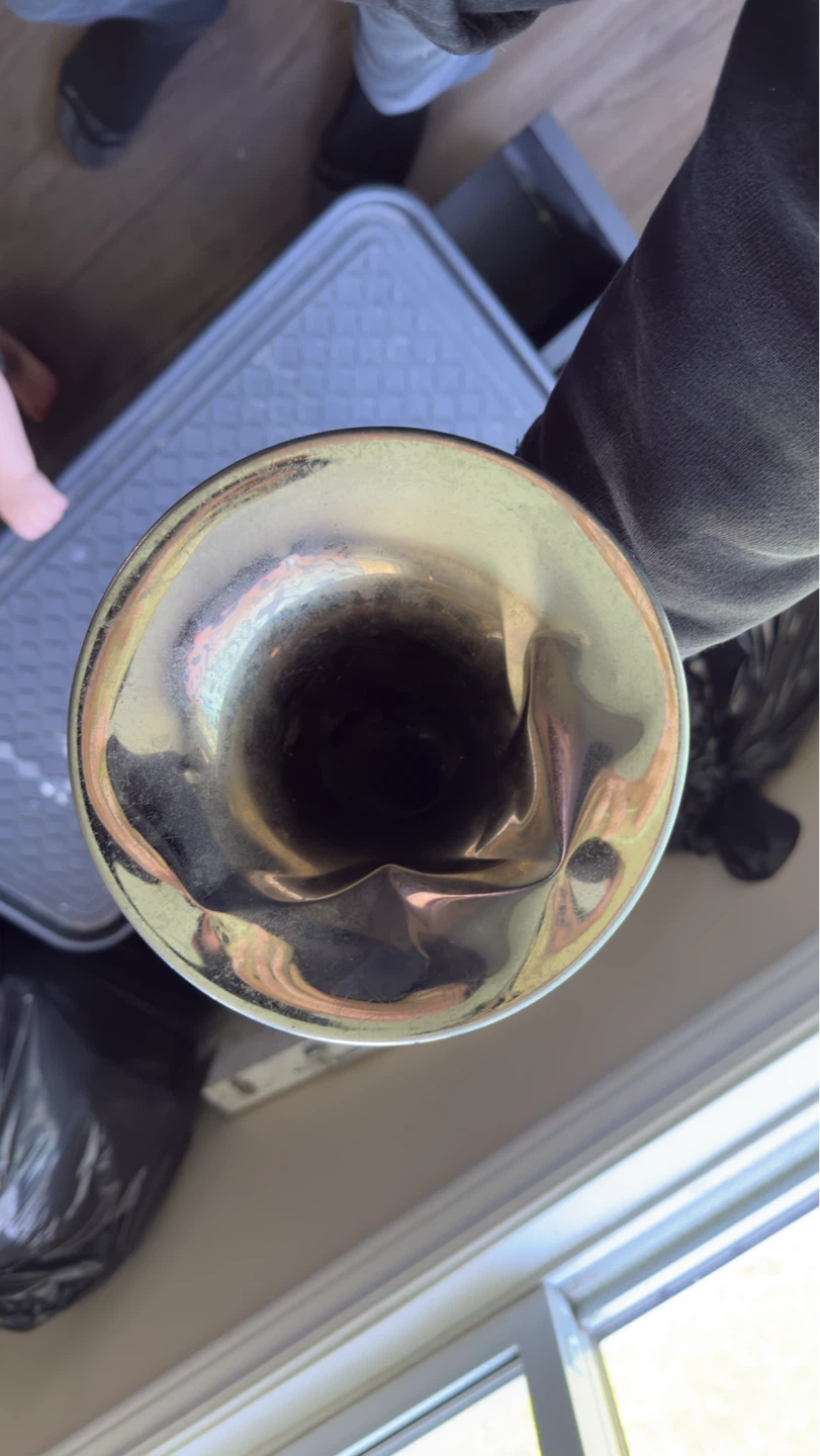 Imperial trumpet - photo 3