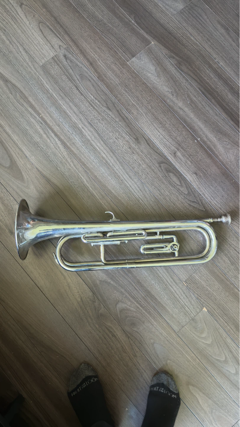 Imperial trumpet - photo 2