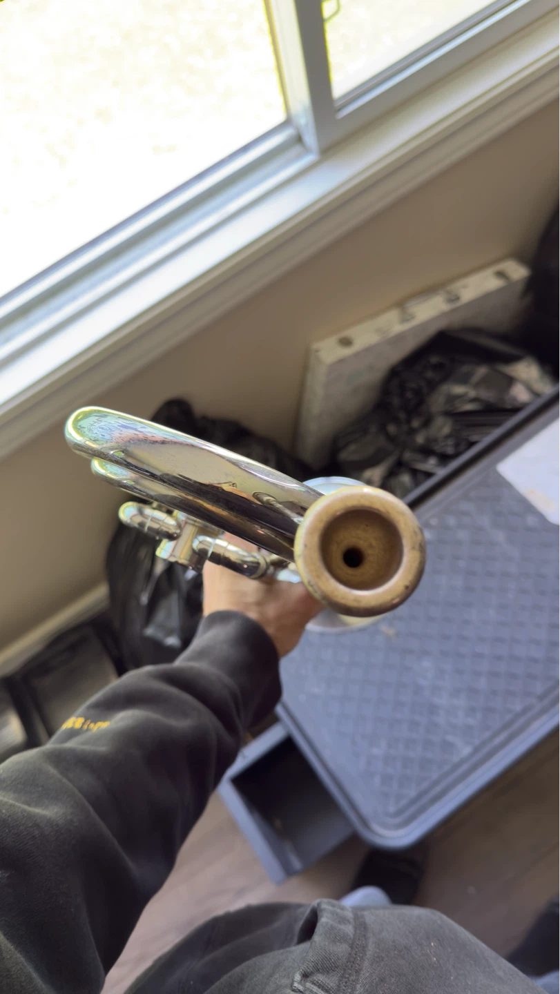 Imperial trumpet - photo 4