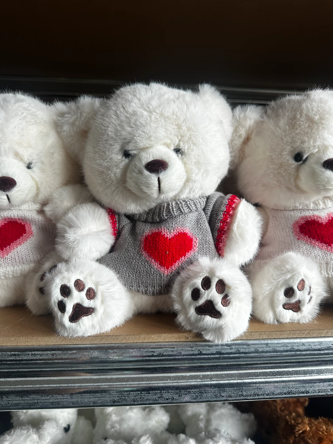 Teddy bear