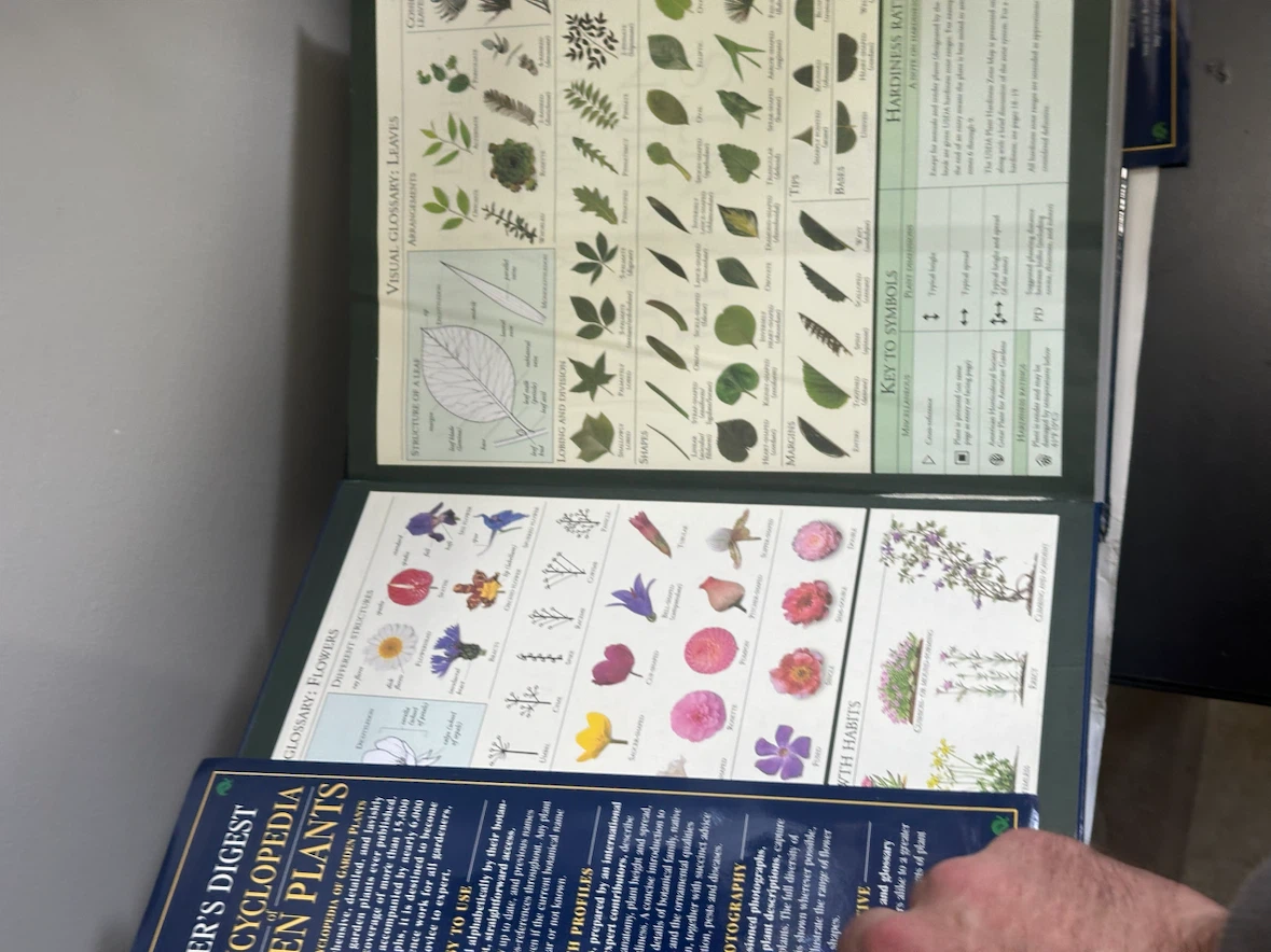 Reader's Digest A-Z Encyclopedia of Garden Plants - photo 3
