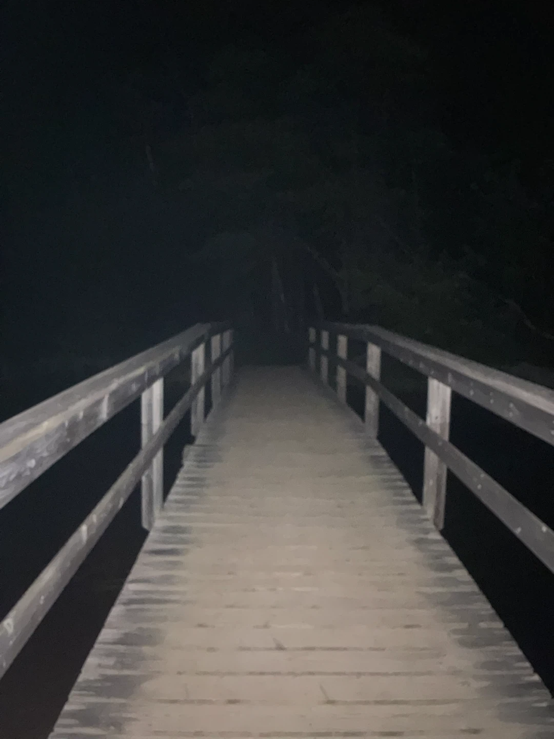 Wooden bridge at night