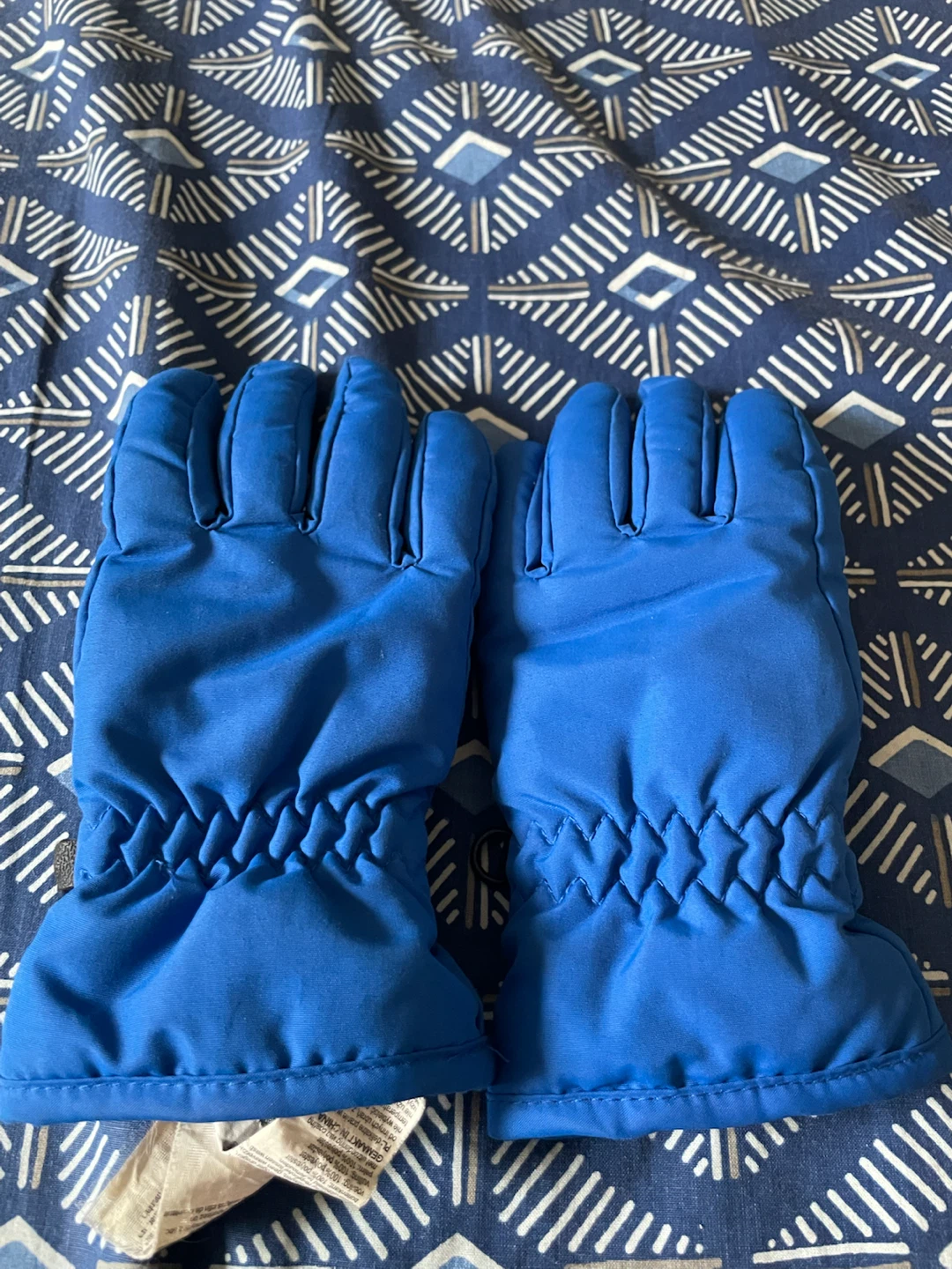 Blue Winter Gloves and Black Neck Warmer