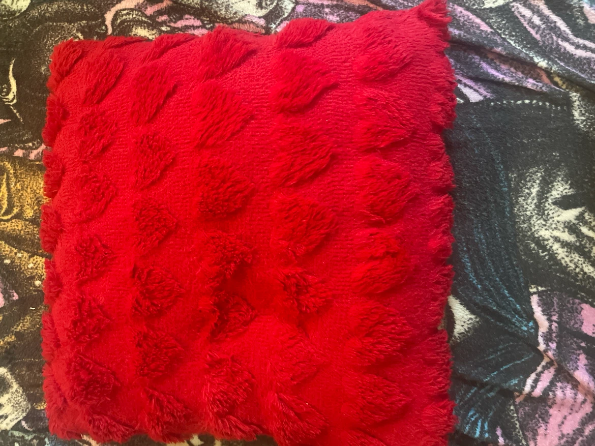 Red Plush Accent Pillow